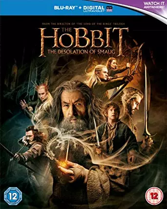 Le Hobbit : la Désolation de Smaug  [BLU-RAY 720p] - FRENCH